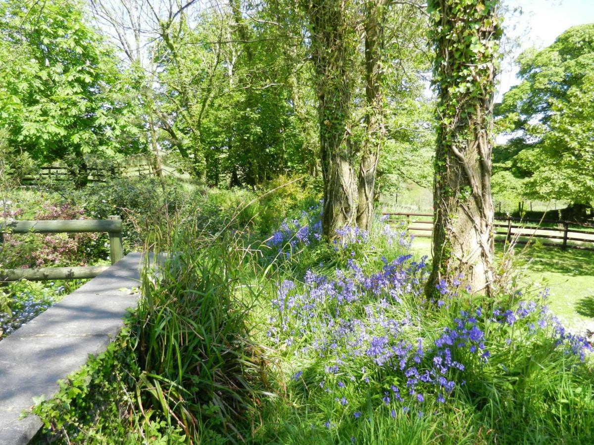 Cilwen Country House Bed And Breakfast Abernant Dış mekan fotoğraf
