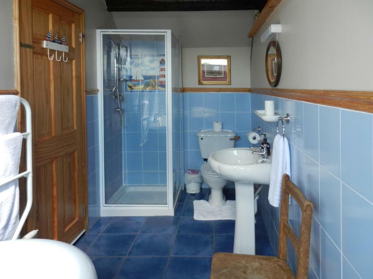Cilwen Country House Bed And Breakfast Abernant Dış mekan fotoğraf