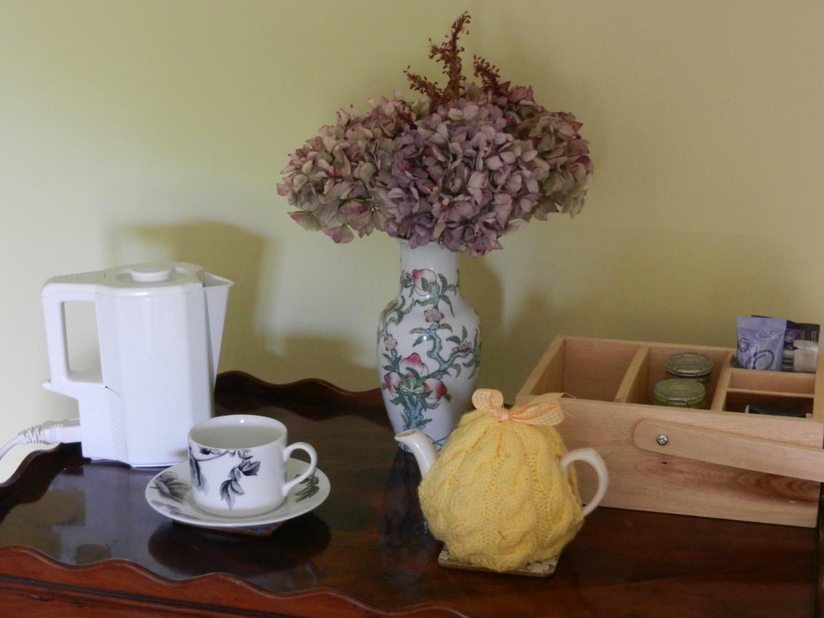 Cilwen Country House Bed And Breakfast Abernant Dış mekan fotoğraf