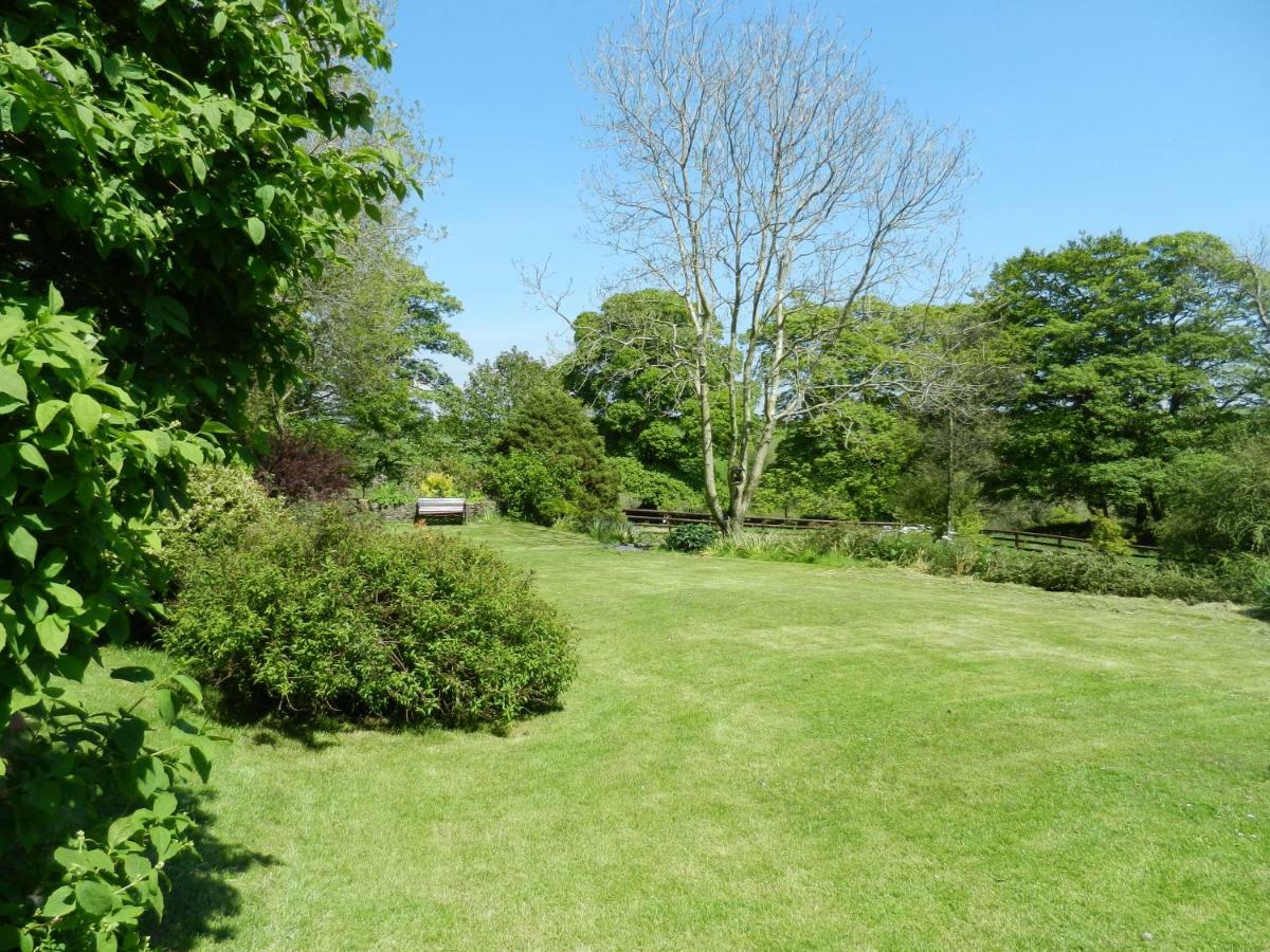 Cilwen Country House Bed And Breakfast Abernant Dış mekan fotoğraf