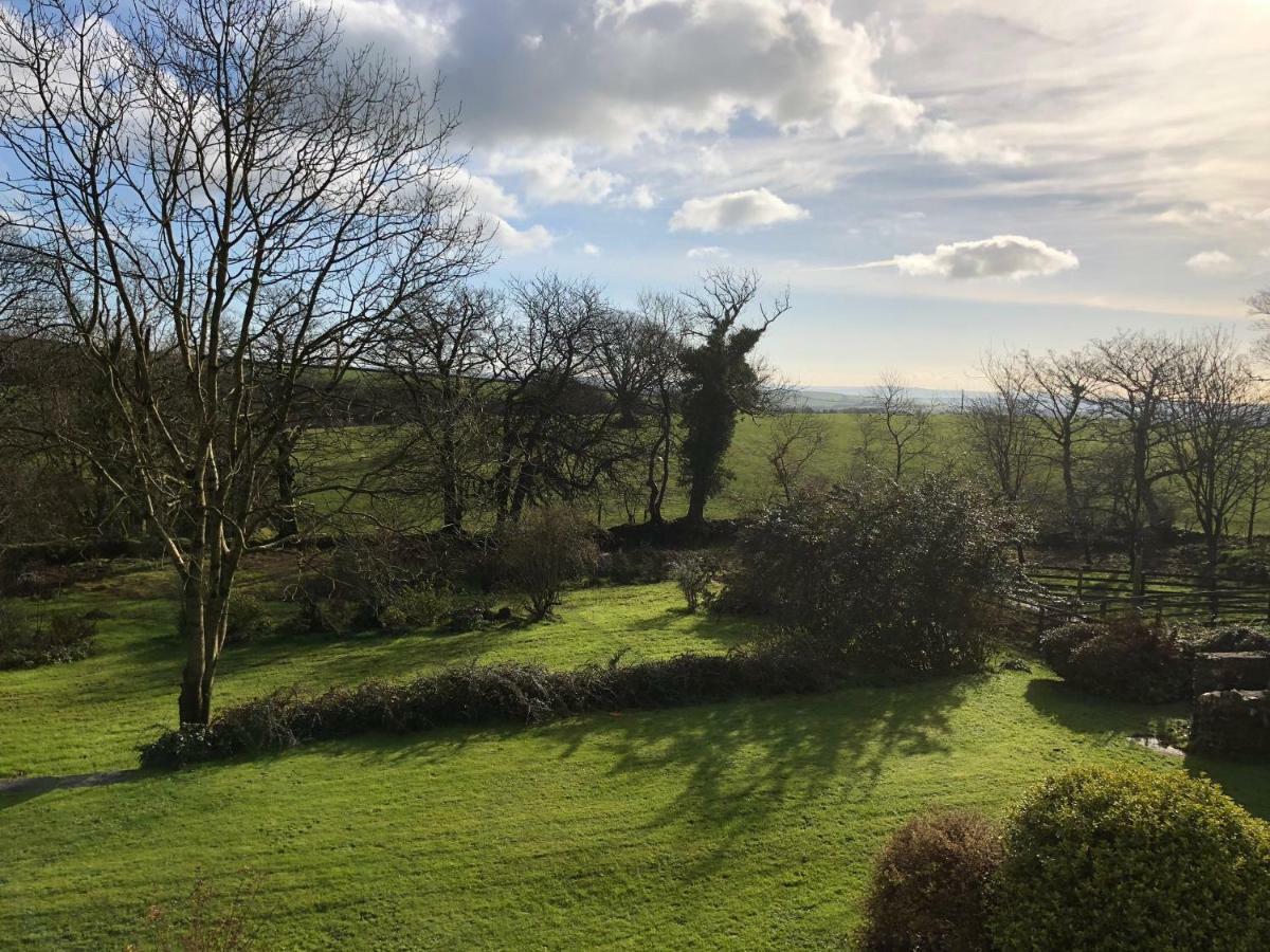 Cilwen Country House Bed And Breakfast Abernant Dış mekan fotoğraf